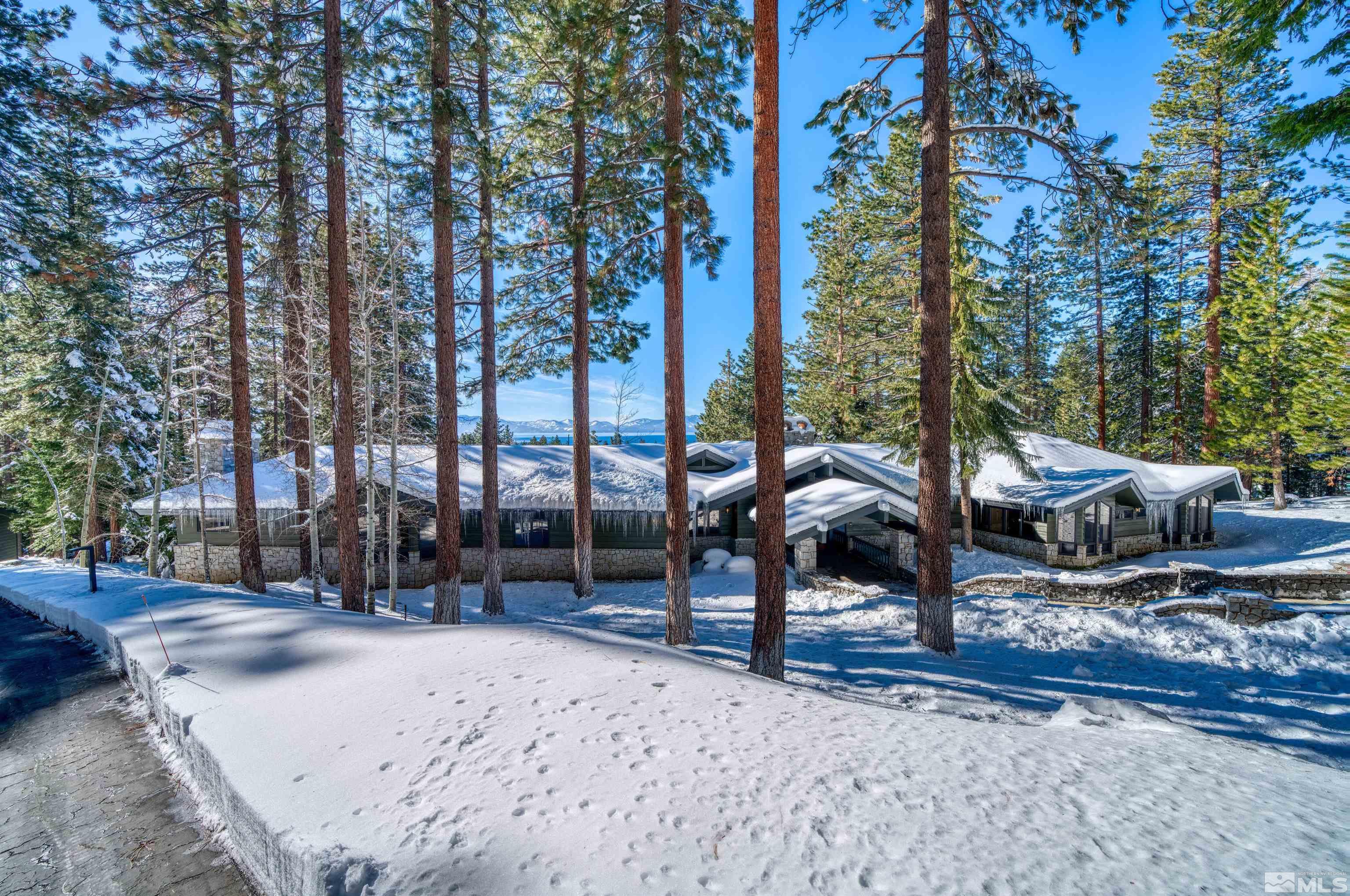 202 Pine Tree Lane Glenbrook, NV 89413 - Photo 3 of 40 a view of a park with large trees