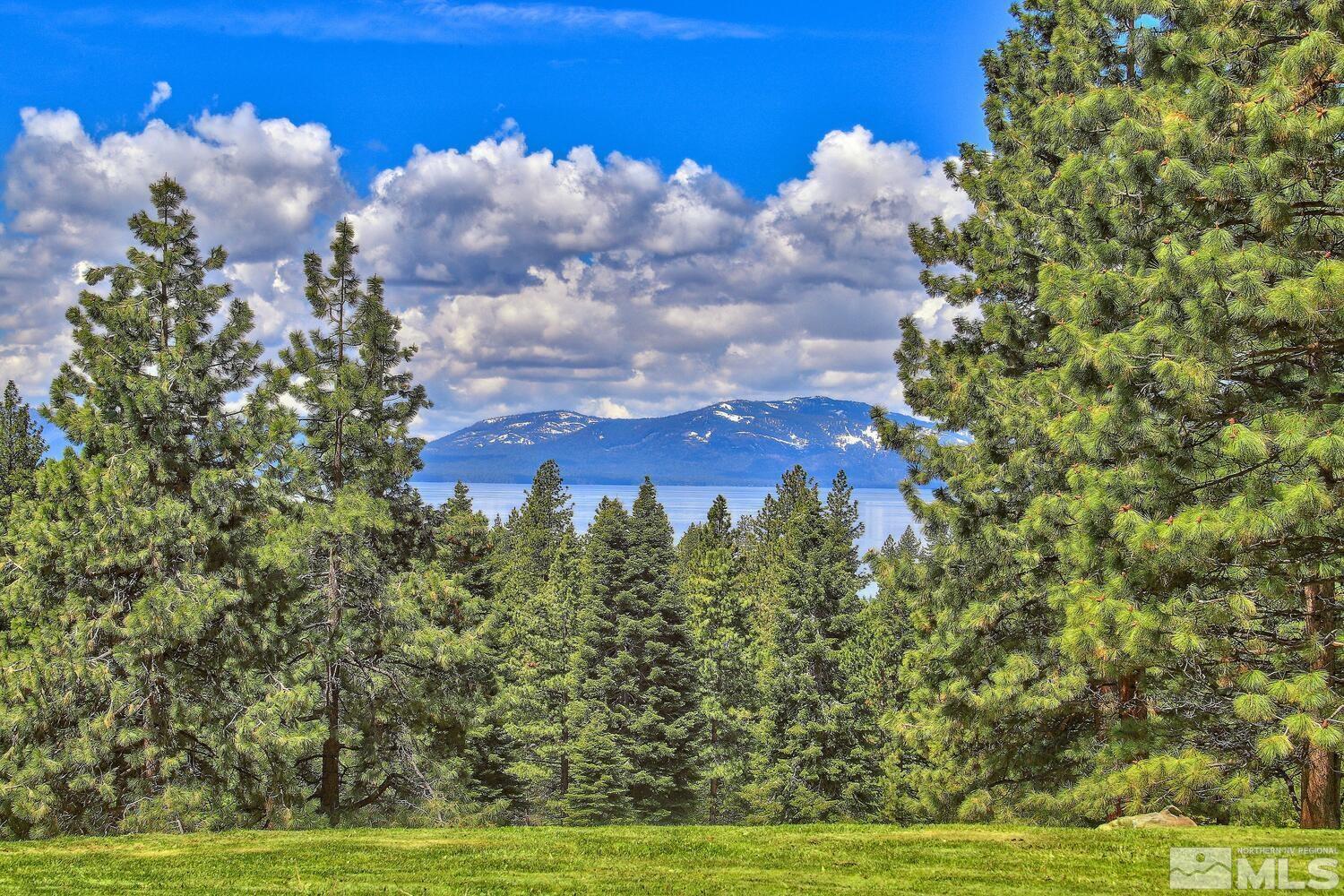 202 Pine Tree Lane Glenbrook, NV 89413 - Photo 40 of 40 a view of a bunch of trees and houses