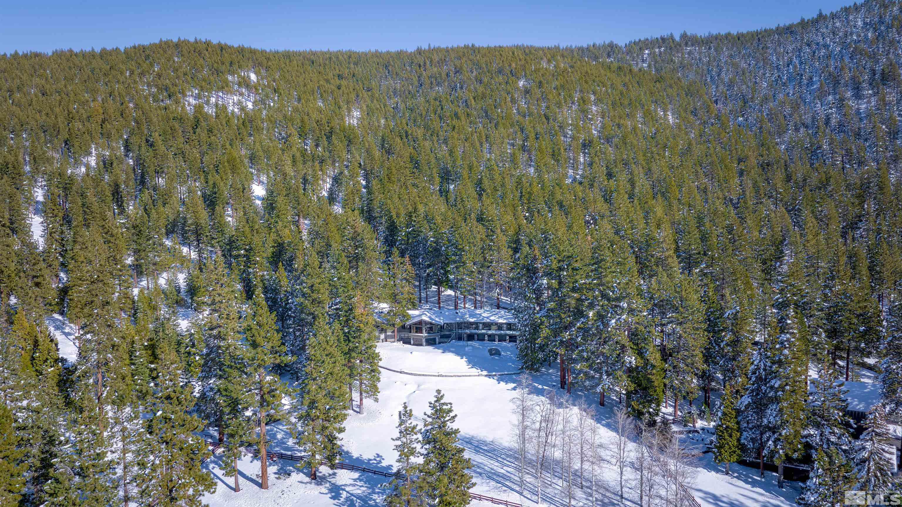 202 Pine Tree Lane Glenbrook, NV 89413 - Photo 4 of 40 a view of a city with lush green forest