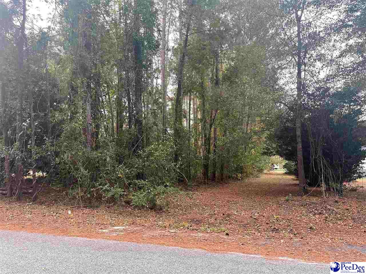 Tbd West Main Street Olanta, SC 29114 - Photo 2 of 2 Gallery Image 2