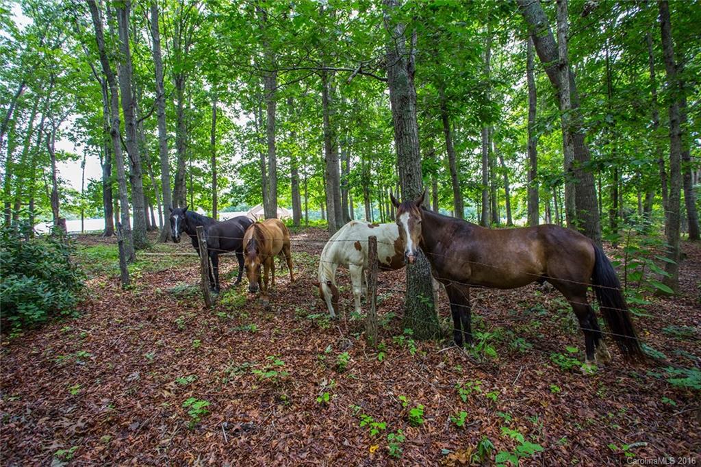 422 Emmas Grove Road Fletcher, NC 28732 - Photo 21 of 24 Gallery Image 21