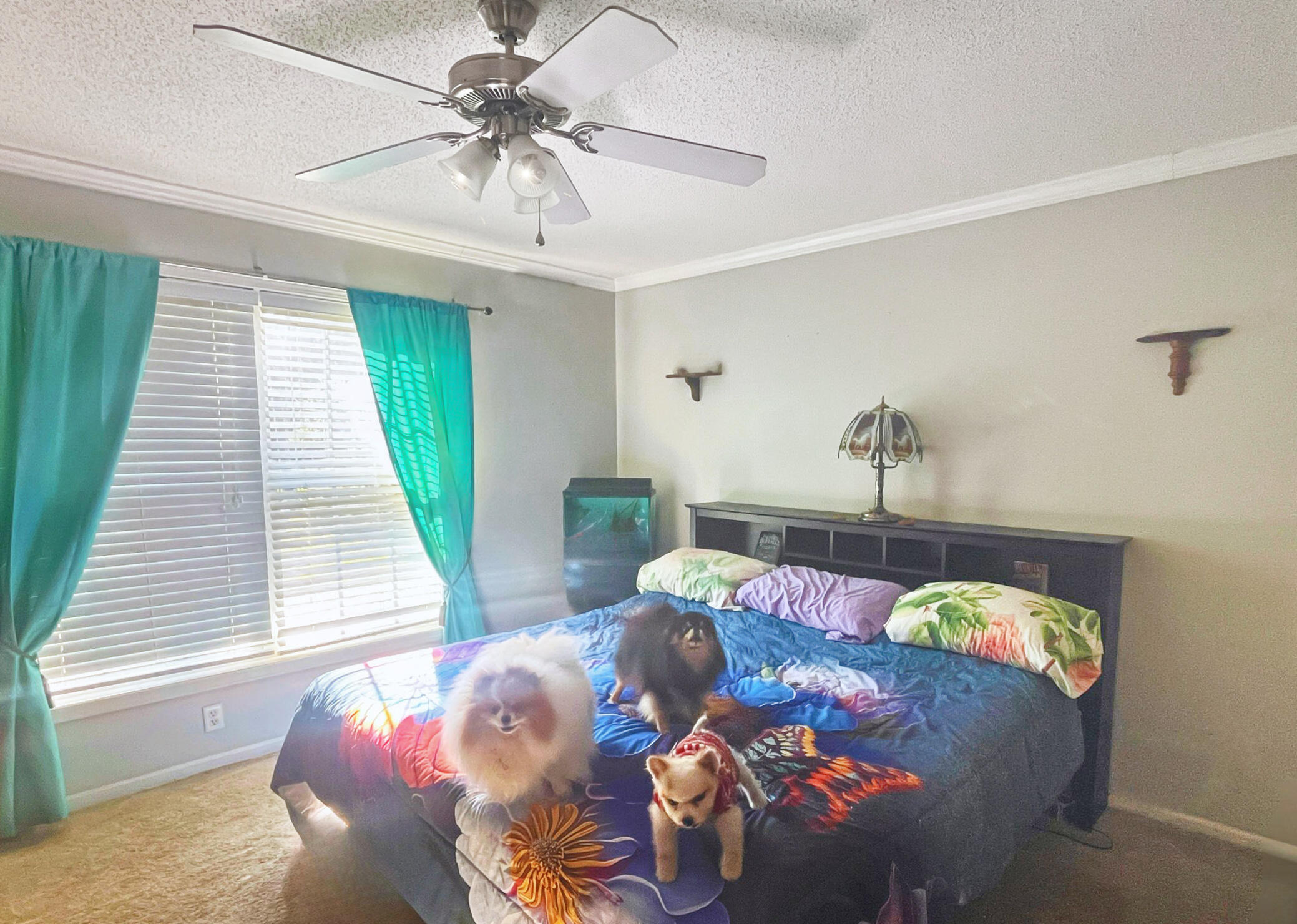 1060 Yaremich Road Moncks Corner, SC 29461 - Photo 12 of 24 Owner Suite