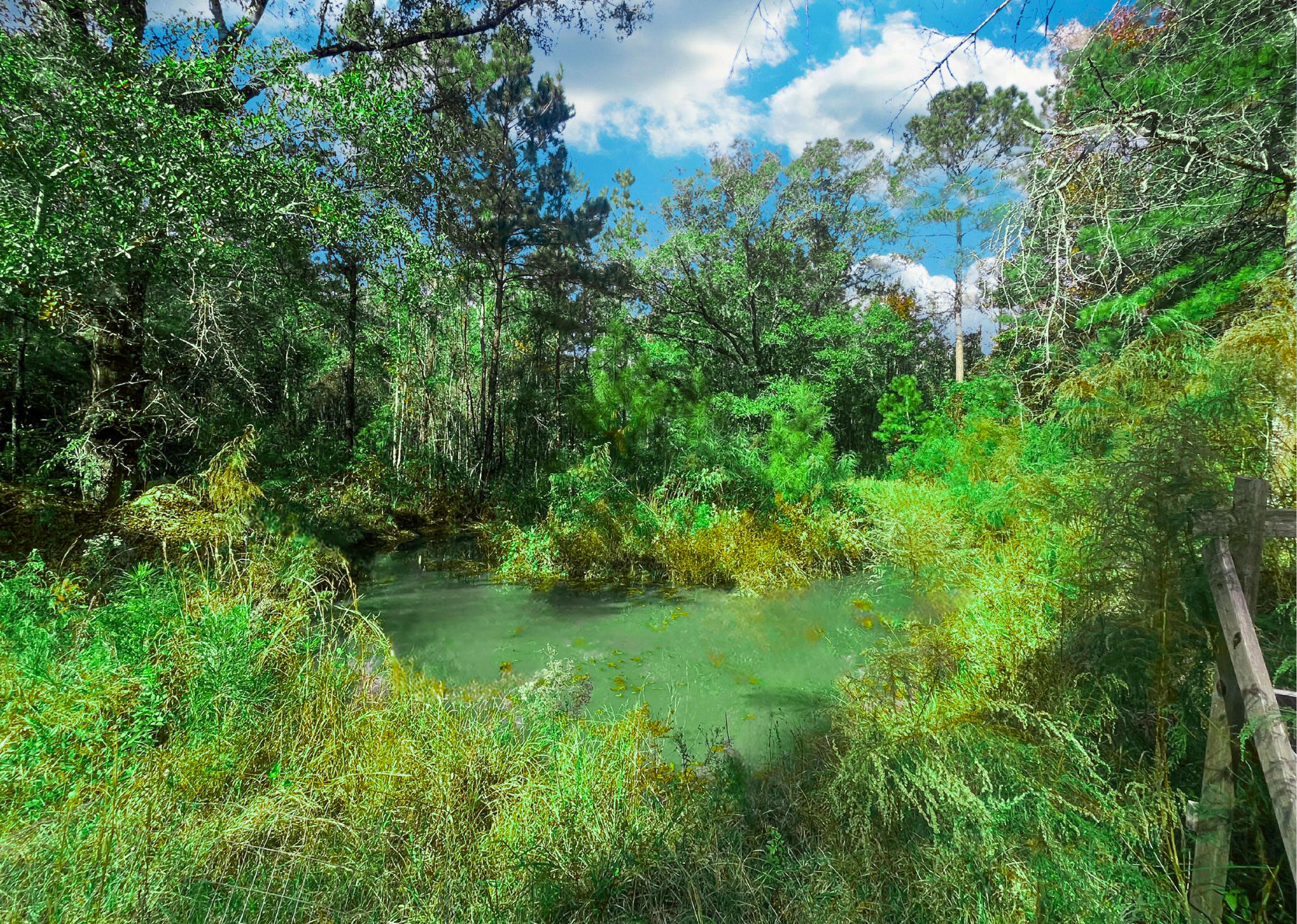 1060 Yaremich Road Moncks Corner, SC 29461 - Photo 23 of 24 Pond