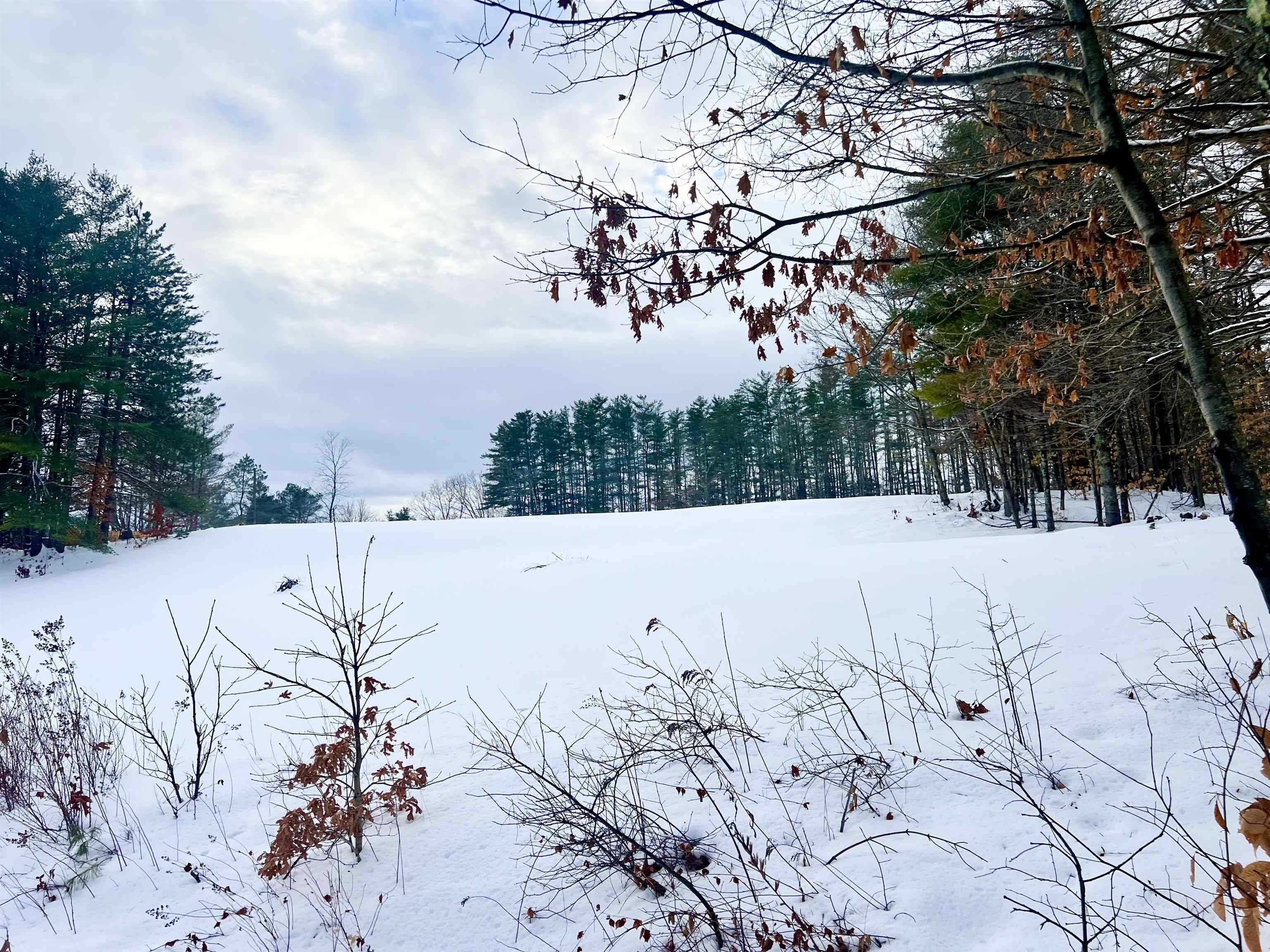200 Walker Road Alexandria, NH 03222 - Photo 4 of 17