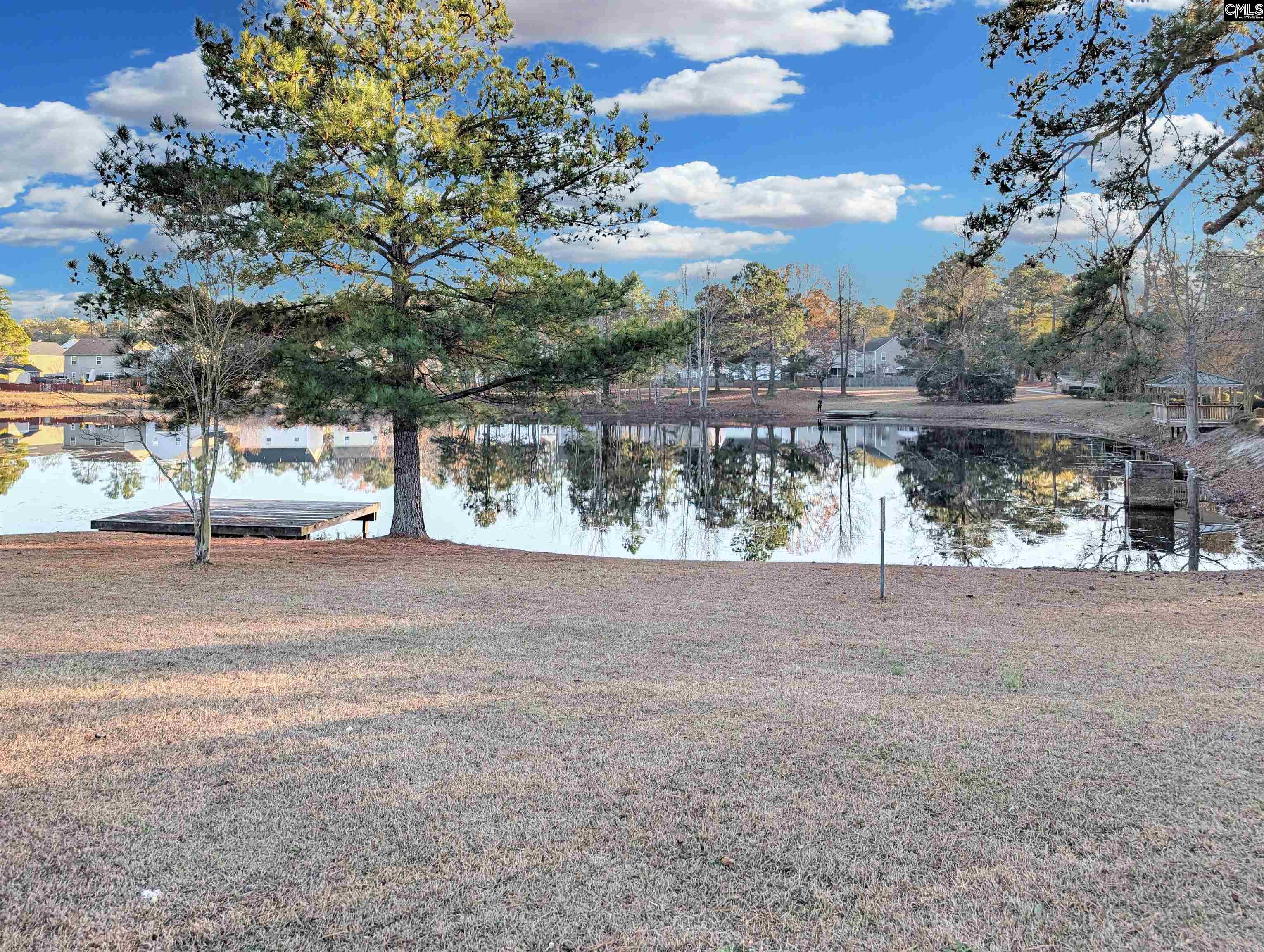 1253 Rabon Pond Drive Columbia, SC 29223 - Photo 3 of 19