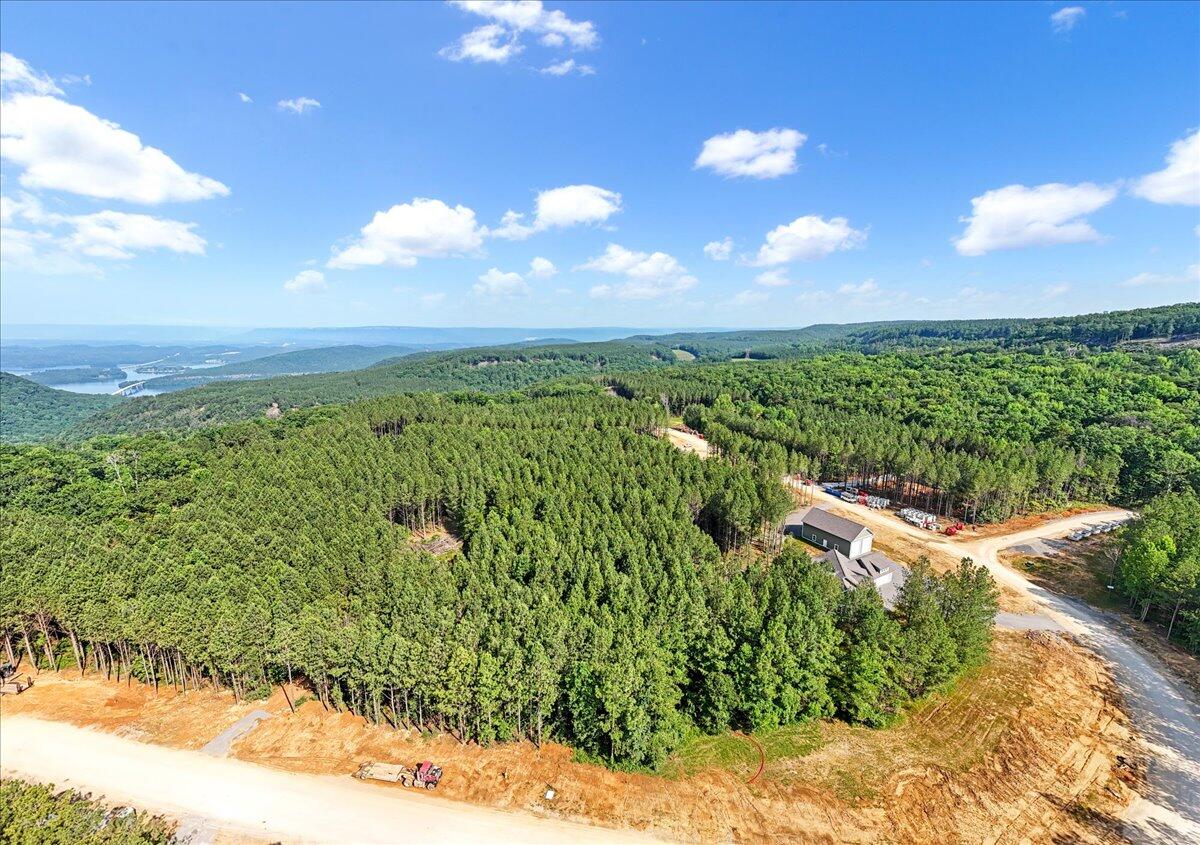 0 Serenity Way, Unit 1166 Guild, TN 37340 - Photo 13 of 16 10-DJI_20250611090909_0008_D