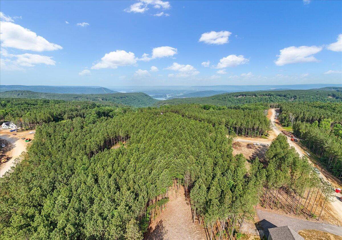 0 Serenity Way, Unit 1166 Guild, TN 37340 - Photo 14 of 16 11-DJI_20250611090942_0009_D