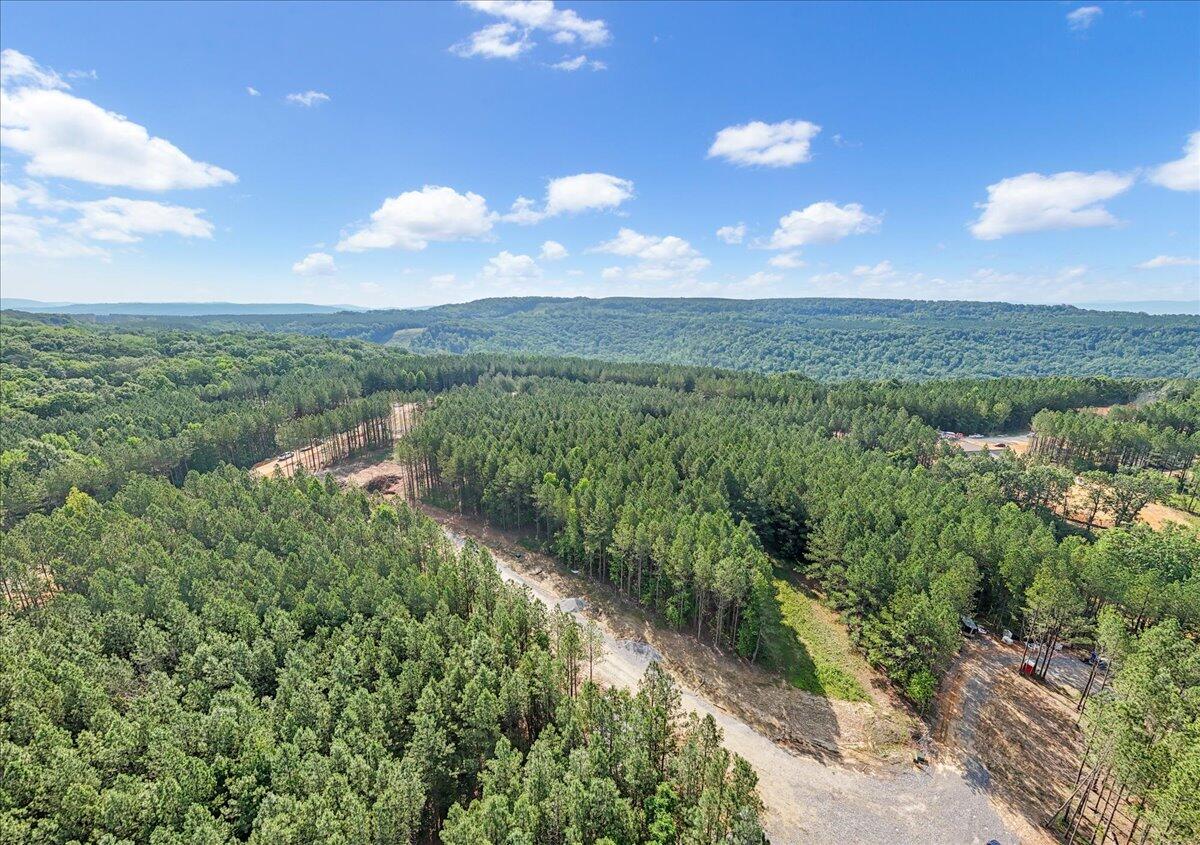 0 Serenity Way, Unit 1166 Guild, TN 37340 - Photo 15 of 16 12-DJI_20250611091036_0010_D