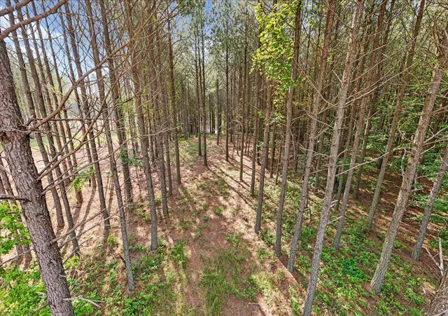 $215,000 | 0 Serenity Way, Unit 1166, Guild, TN 37340