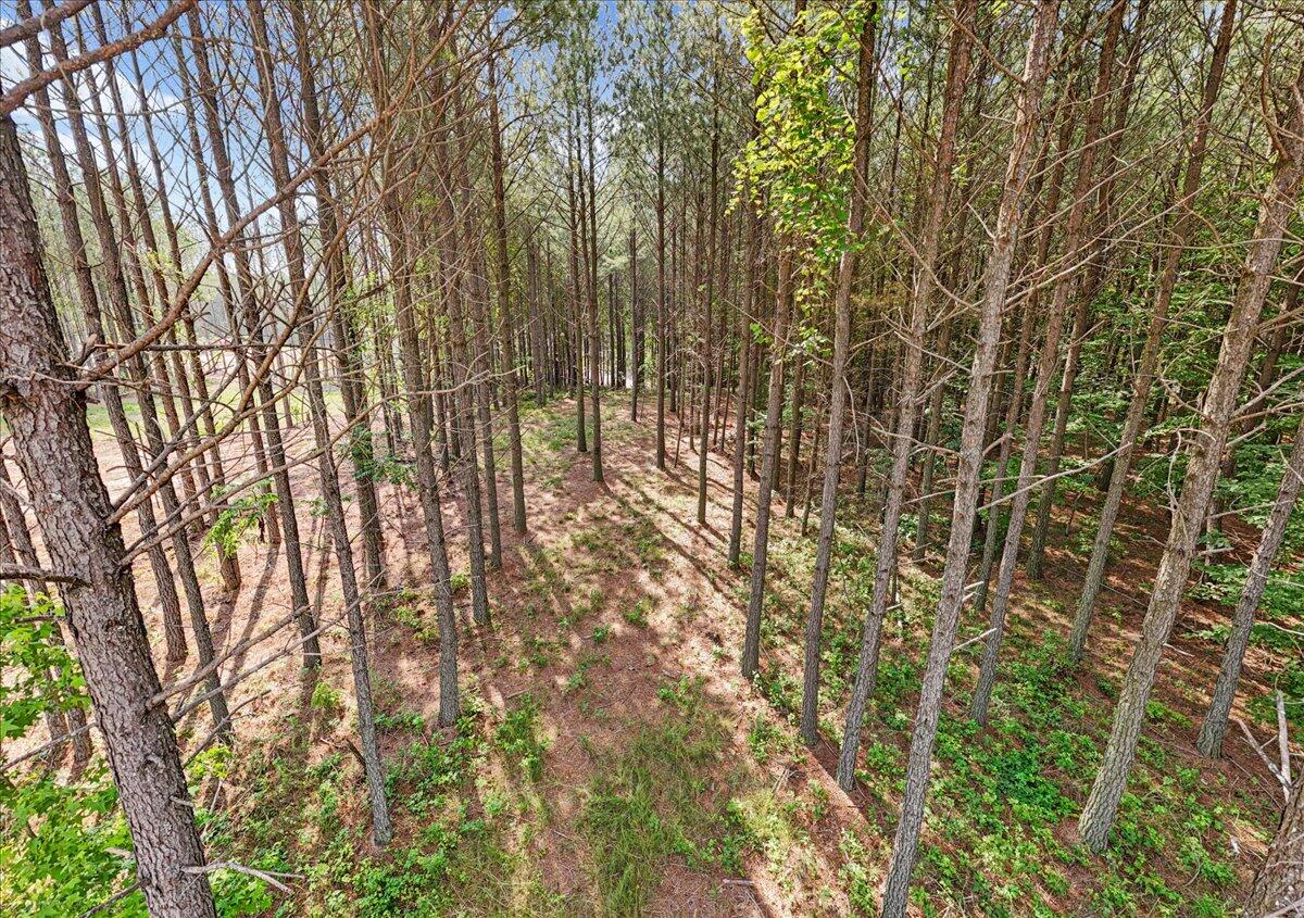 0 Serenity Way, Unit 1166 Guild, TN 37340 - Photo 3 of 16 02-DJI_20250611092207_0028_D