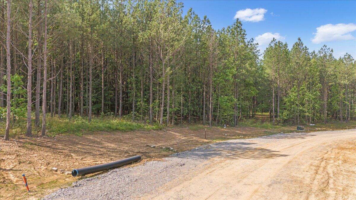 0 Serenity Way, Unit 1166 Guild, TN 37340 - Photo 4 of 16 13-DJI_20250611091823_0014_D