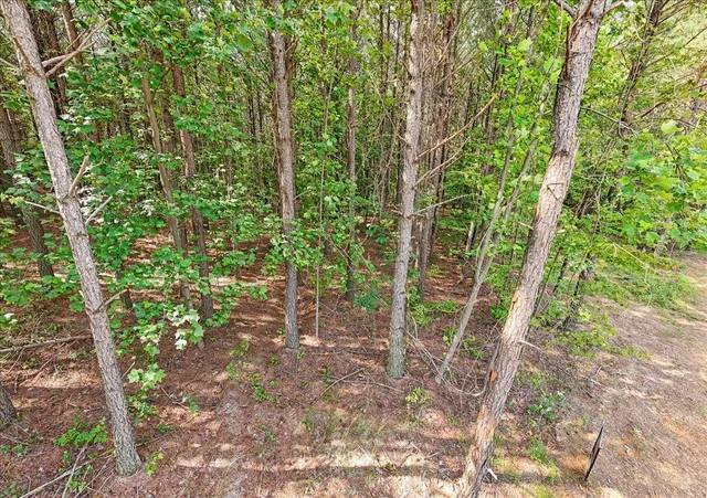 $215,000 | 0 Serenity Way, Unit 1166, Guild, TN 37340