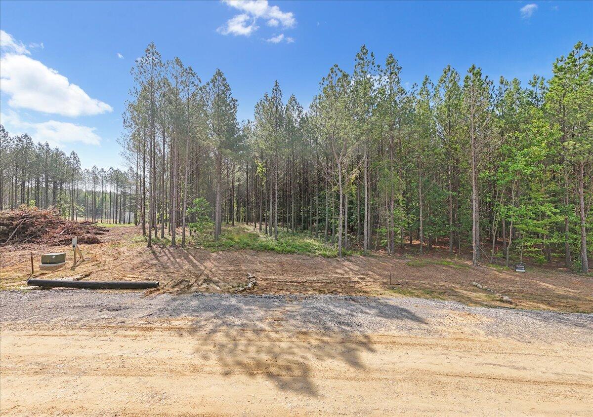 0 Serenity Way, Unit 1166 Guild, TN 37340 - Photo 6 of 16 03-DJI_20250611092108_0021_D