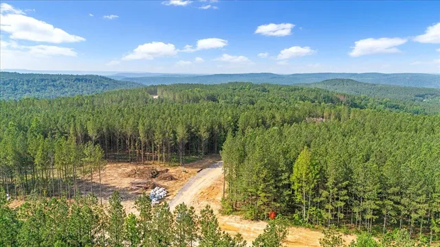 $215,000 | 0 Serenity Way, Unit 1166, Guild, TN 37340