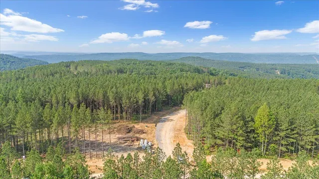 $215,000 | 0 Serenity Way, Unit 1166, Guild, TN 37340