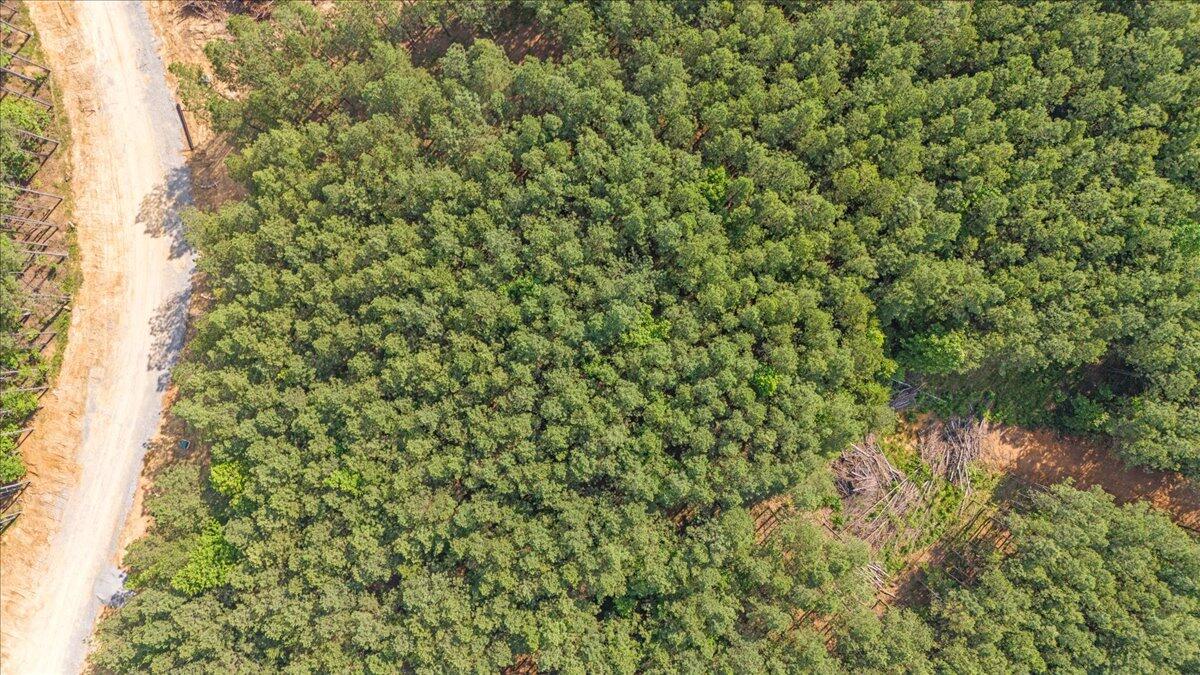 0 Serenity Way, Unit 1166 Guild, TN 37340 - Photo 10 of 16 07-DJI_20250611091205_0012_D