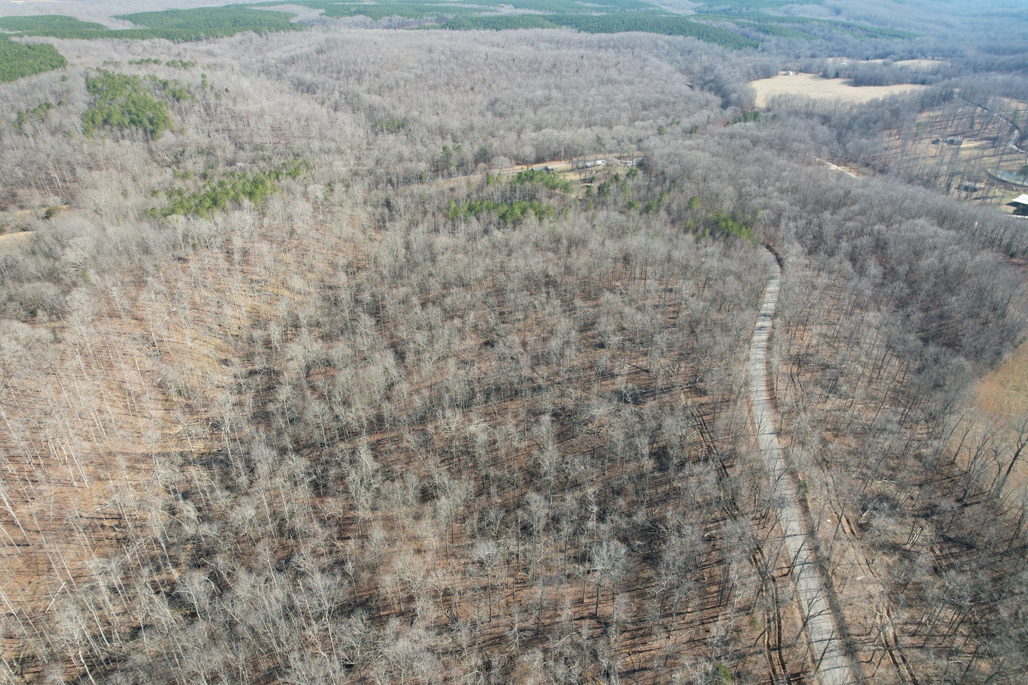 2 Canaan Road Lawrenceburg, TN 38464 - Photo 3 of 6