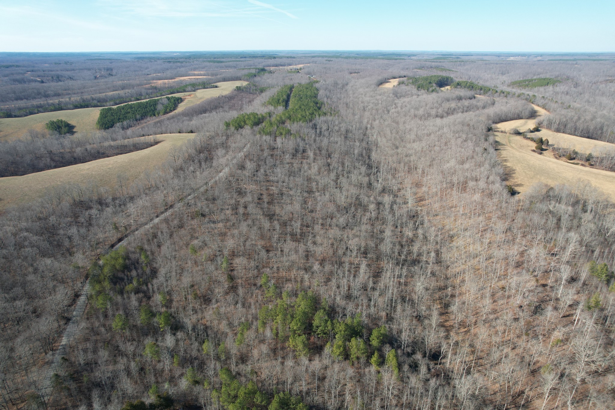 2 Canaan Road Lawrenceburg, TN 38464 - Photo 4 of 6