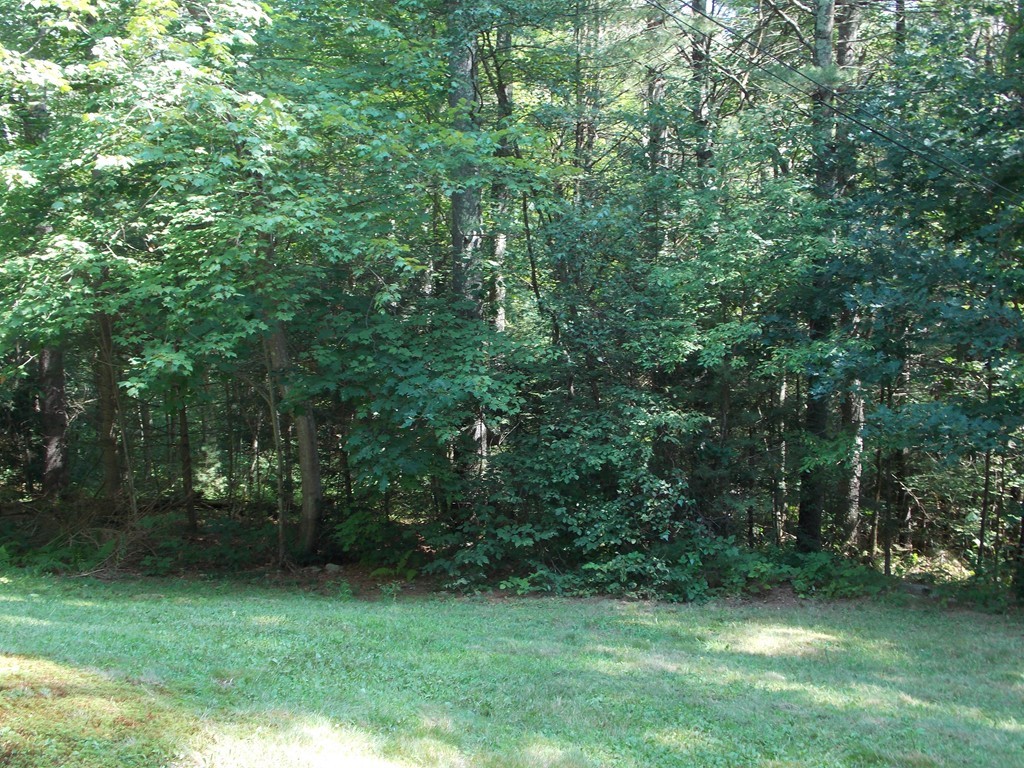 48 Simonds Hill Road Hubbardston, MA 01452 - Photo 6 of 25 a view of a green yard