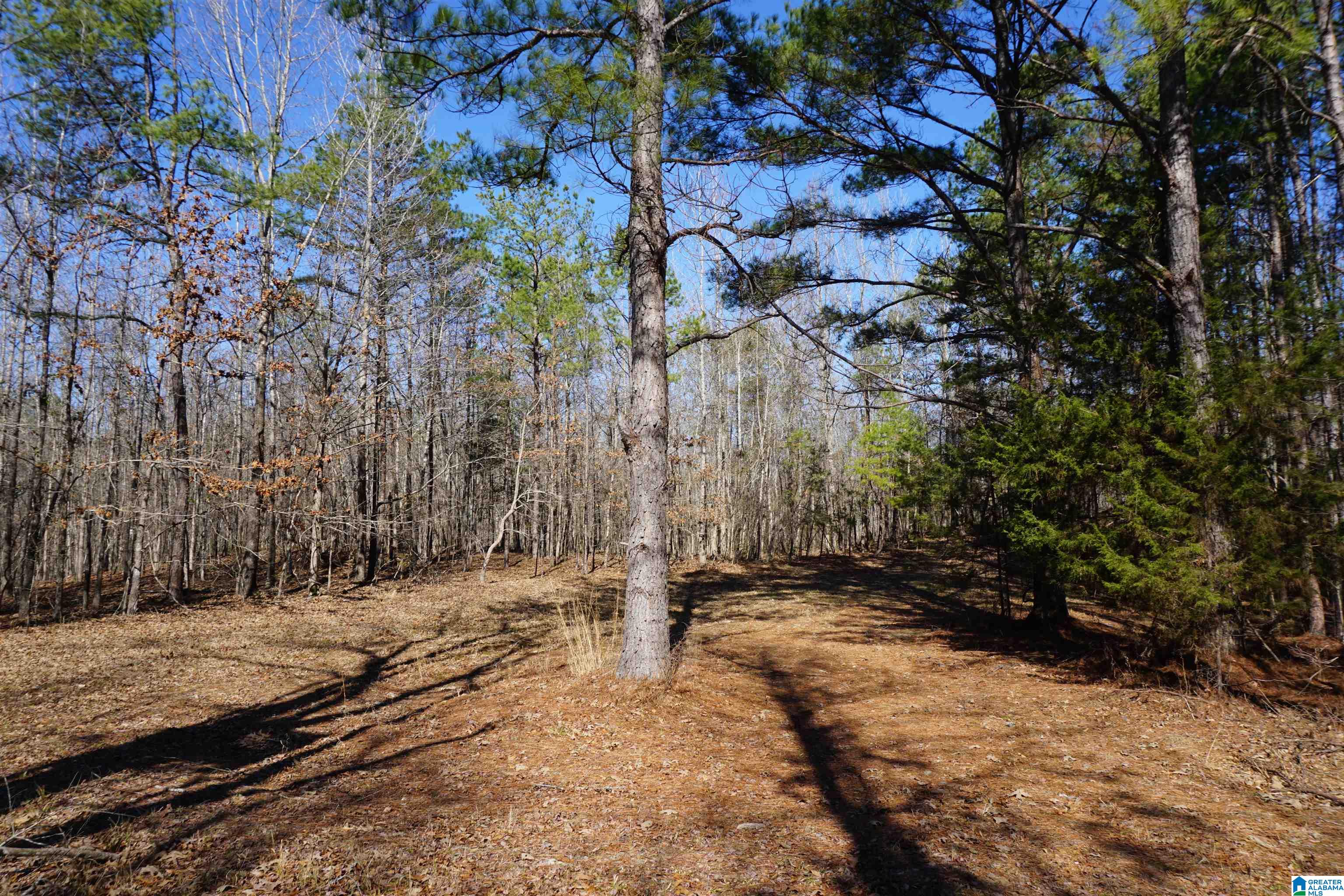 6171 Highway 102, Unit 1 Fayette, AL 35555 - Photo 54 of 68