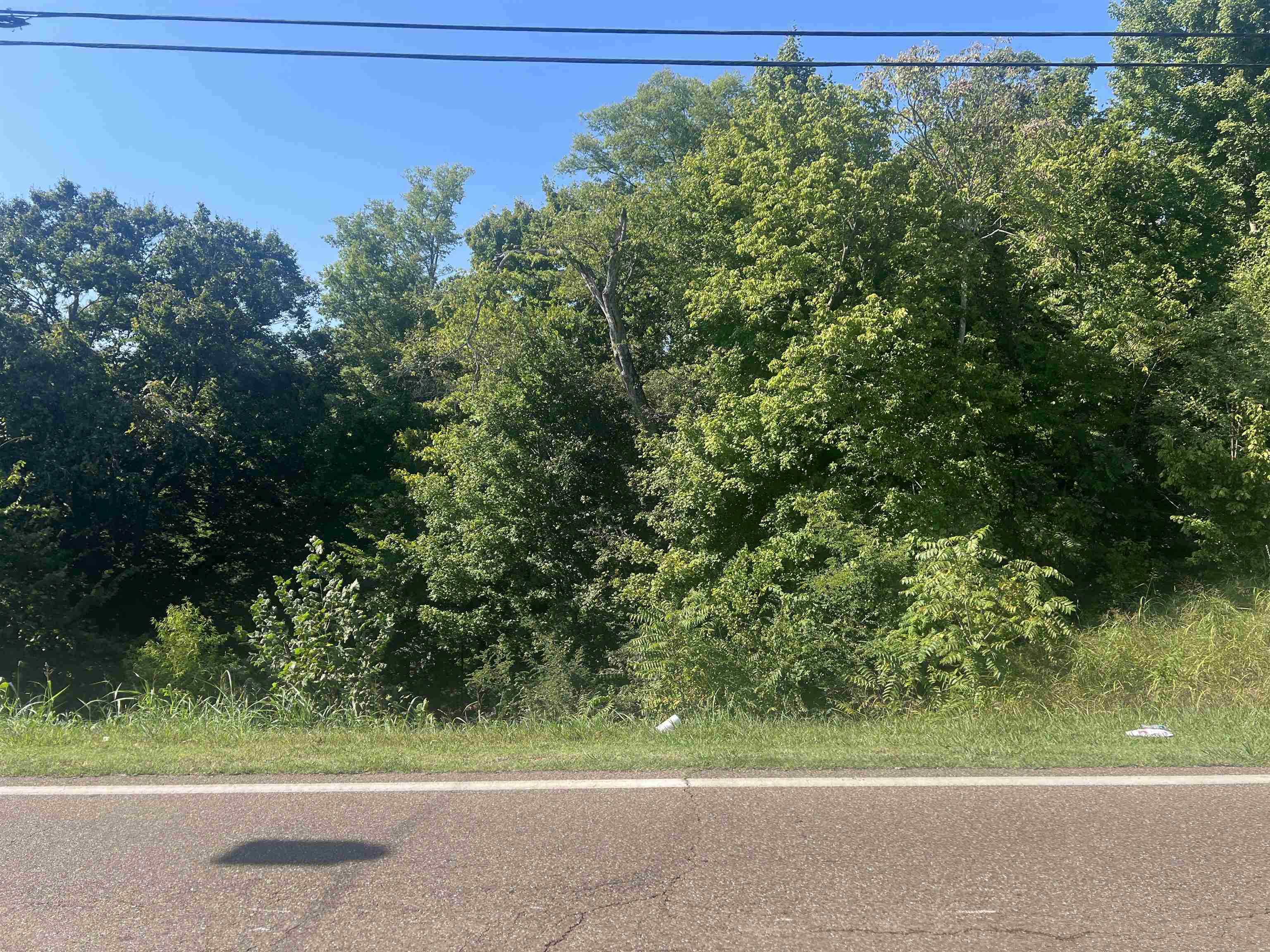 184-186 Randolph Street Ripley, TN 38063 - Photo 5 of 7 3.4 Lot on Monroe Parcel 076PB018.00