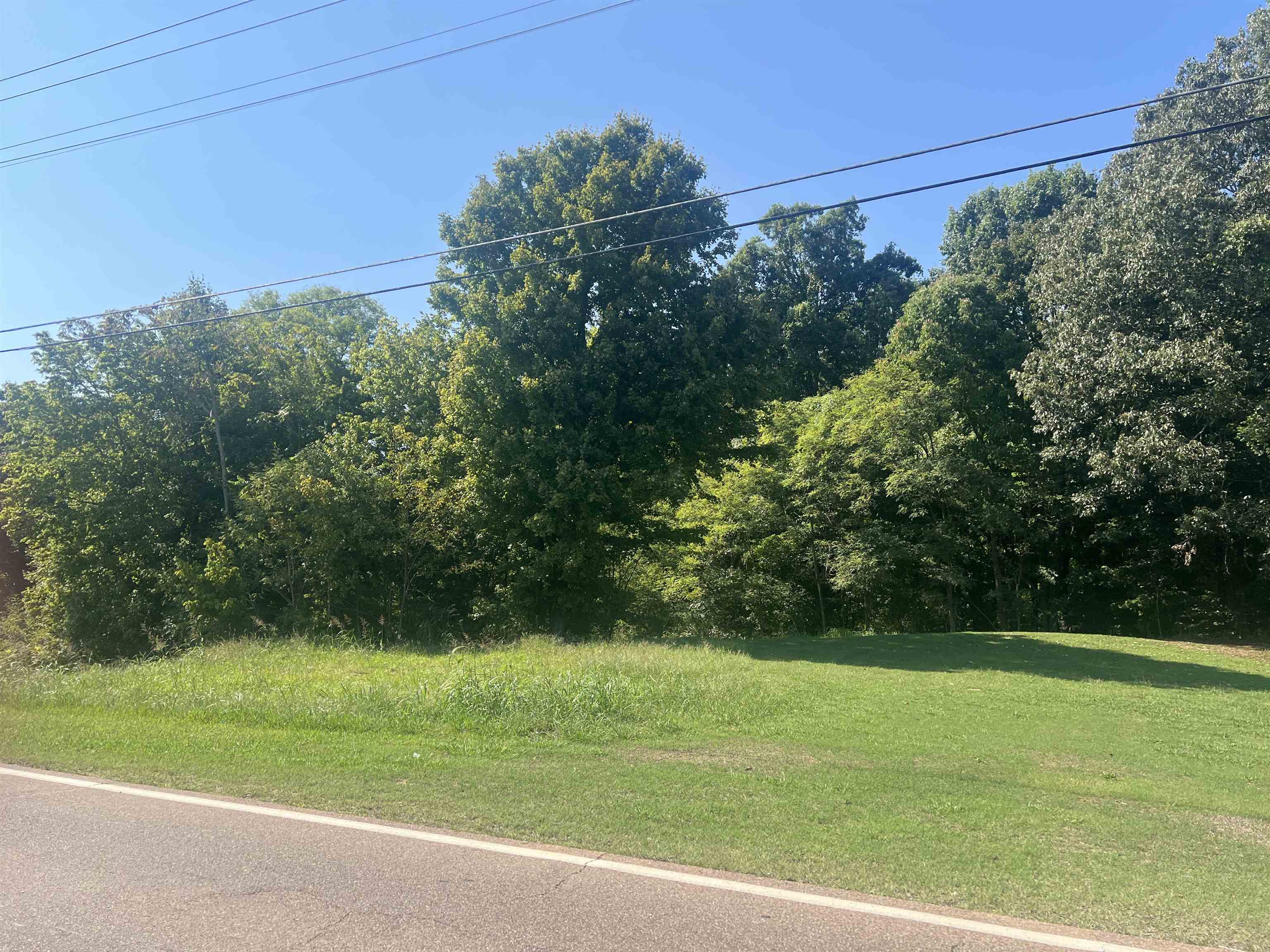 184-186 Randolph Street Ripley, TN 38063 - Photo 6 of 7 3.4 Lot on Monroe Parcel 076PB018.00