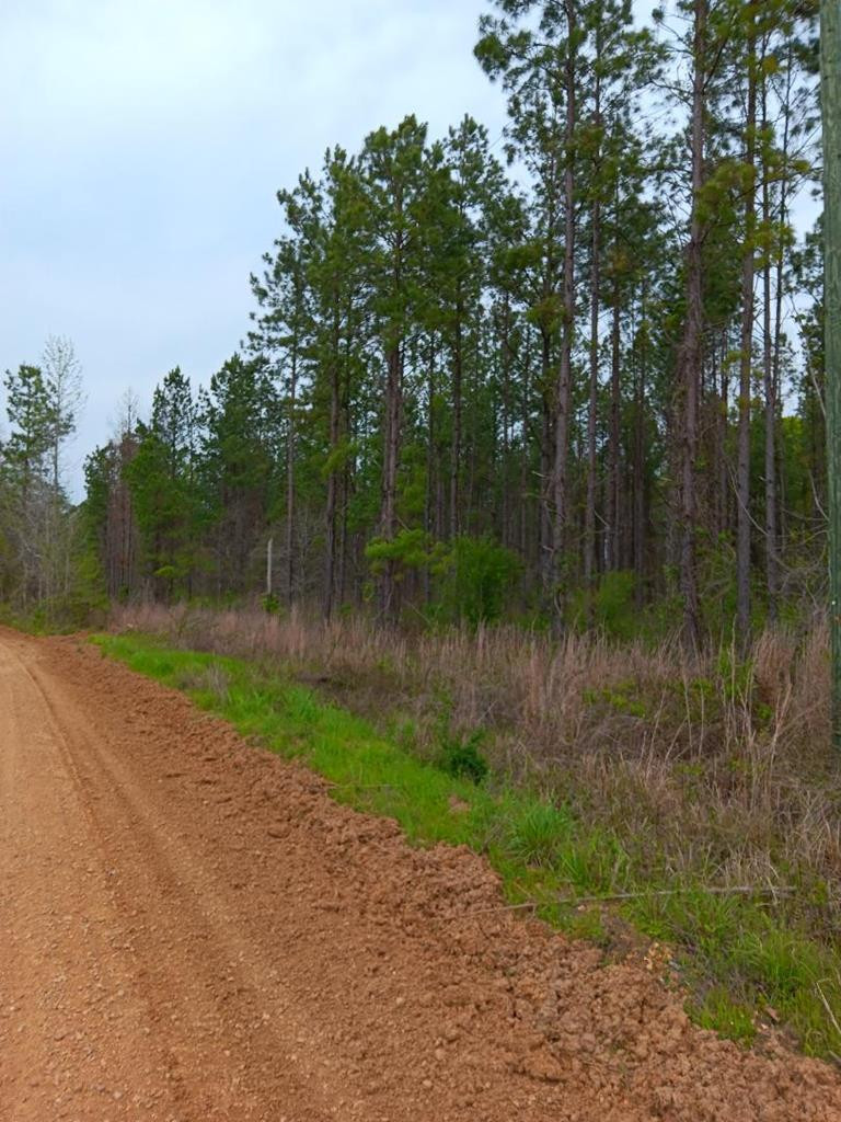0 Hamburg Road Fayette, MS 39069 - Photo 1 of 8 Main View