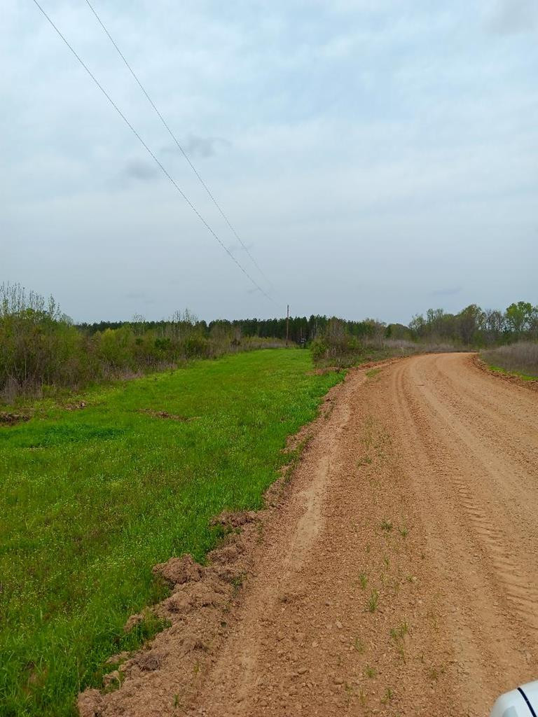 0 Hamburg Road Fayette, MS 39069 - Photo 3 of 8 Photo 3