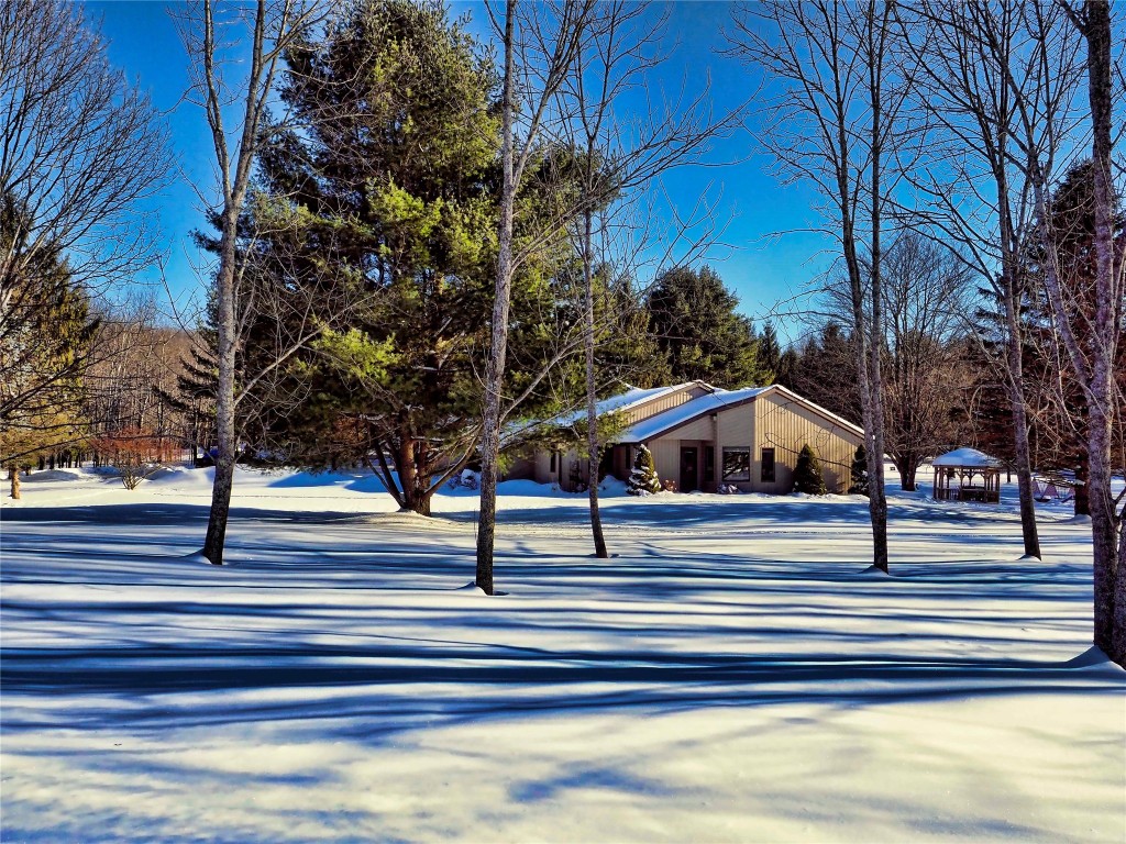 7 Andrews Road Vestal, NY 13850 - Photo 4 of 47 Gallery Image 4