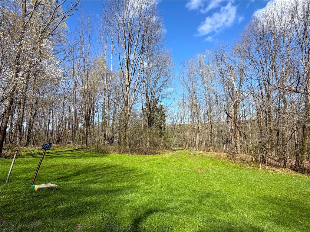 2856 Zimmer Road Scio, NY 14880 - Photo 20 of 50