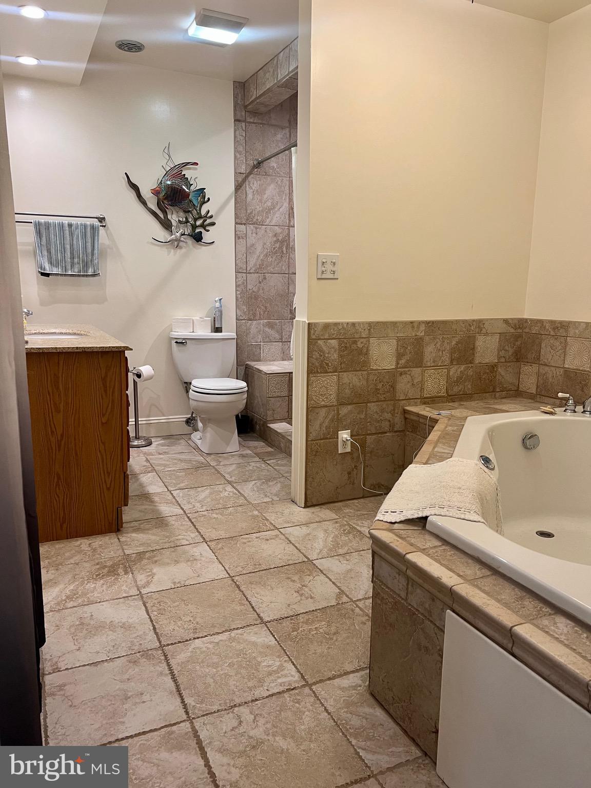 33 South Main Street Boonsboro, MD 21713 - Photo 14 of 34 a view of a bathroom with a sink and a mirror