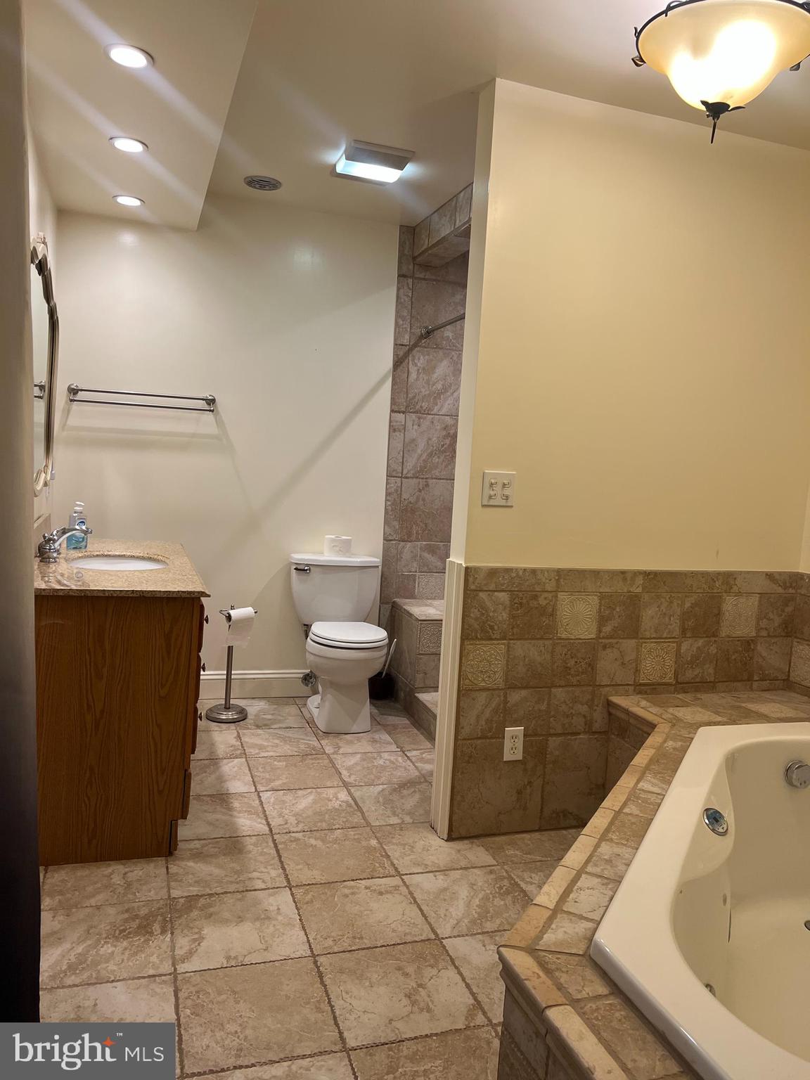 33 South Main Street Boonsboro, MD 21713 - Photo 16 of 34 a bathroom with a sink a toilet and a shower