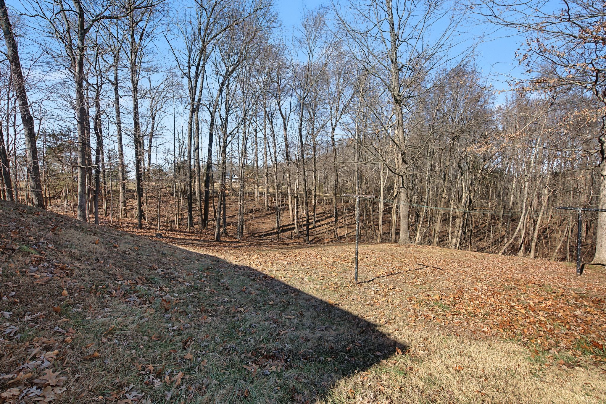 1075 Coker Ford Road Portland, TN 37148 - Photo 32 of 35 a view of a yard with trees