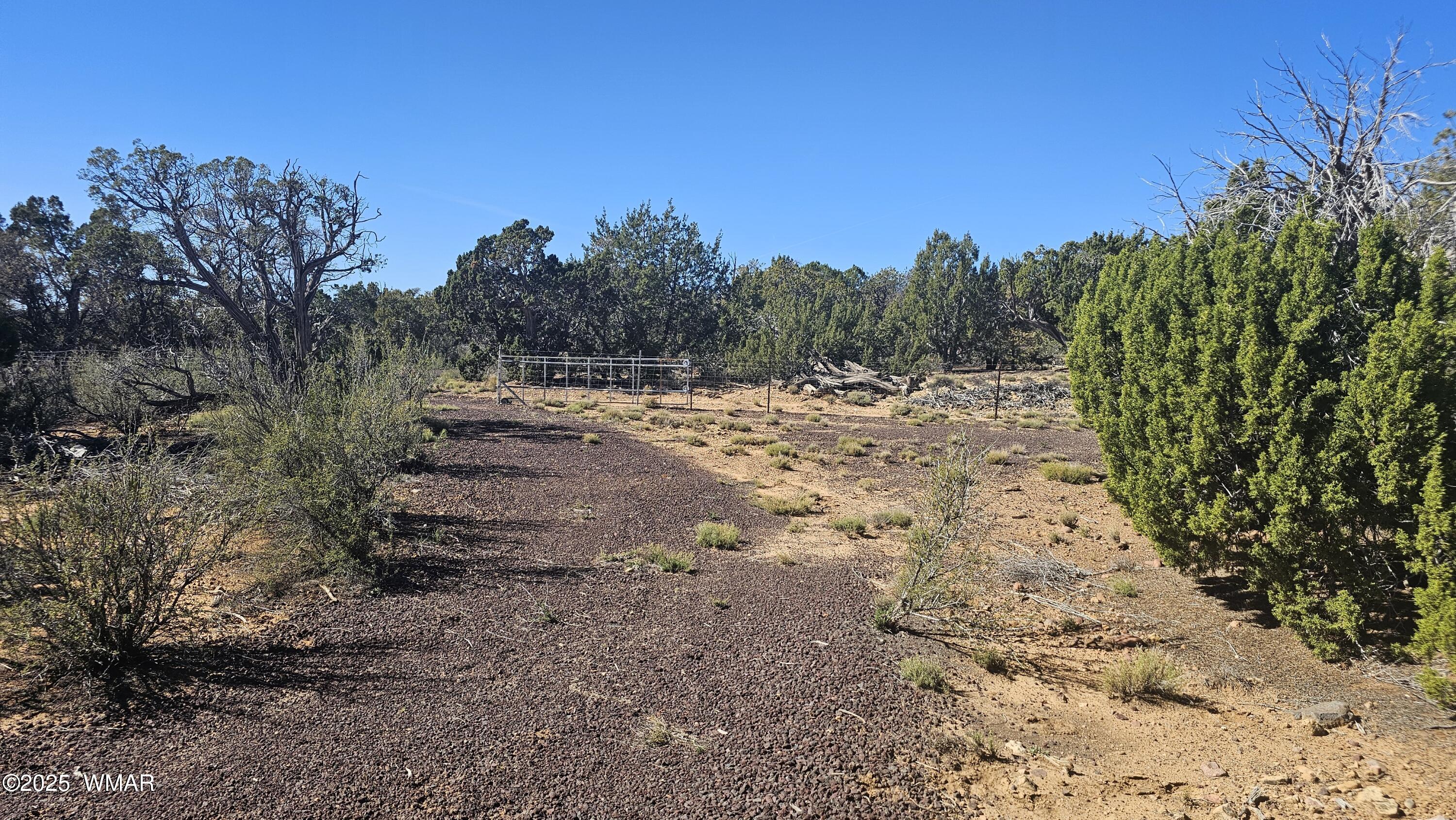 4 County Road Concho, AZ 85924 - Photo 6 of 28