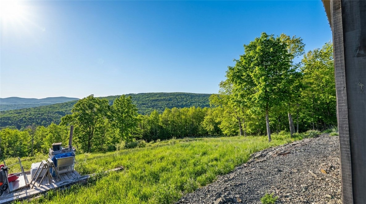10.10 Cheese Hill Road Preston Hollow, NY 12469 - Photo 18 of 46