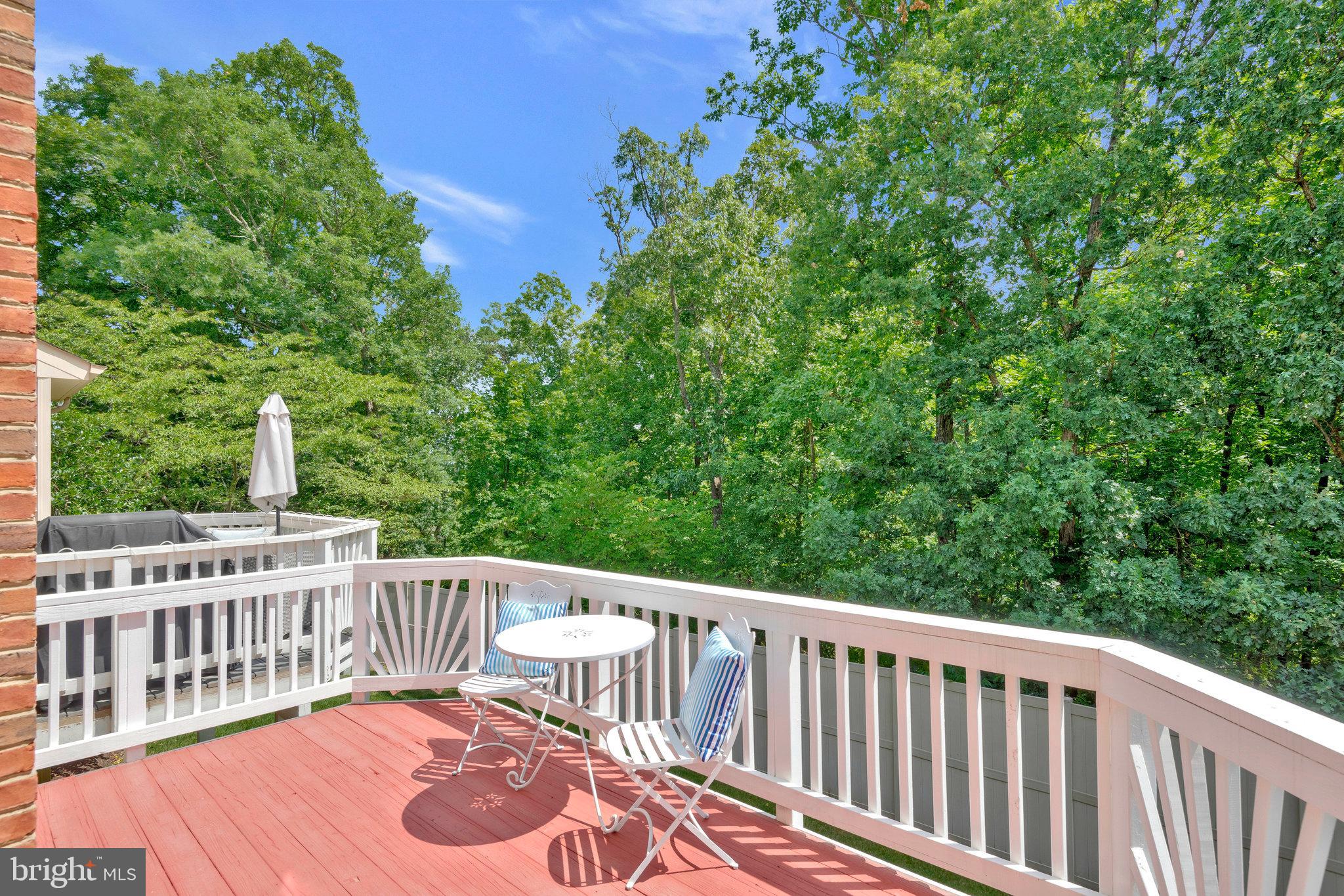 19582 Aspendale Square Ashburn, VA 20147 - Photo 16 of 45 Trees, trees, and more trees