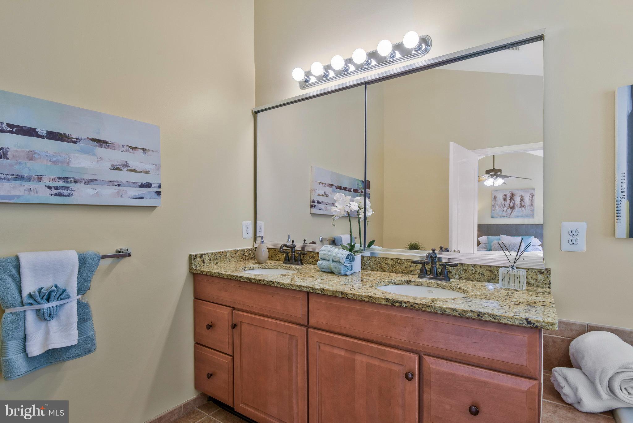 19582 Aspendale Square Ashburn, VA 20147 - Photo 21 of 45 Ensuite primary bathroom with dual vanity