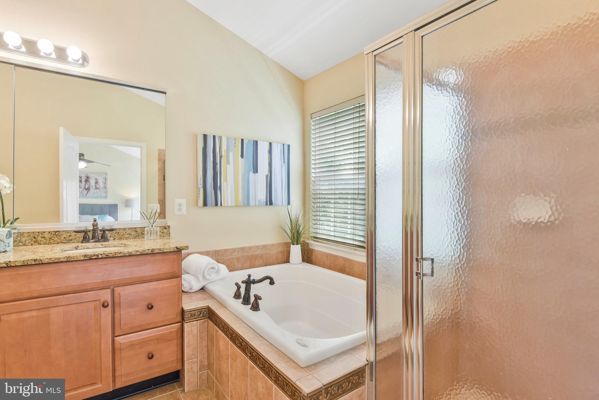 19582 Aspendale Square Ashburn, VA 20147 - Photo 22 of 45 Large Jacuzzi tub