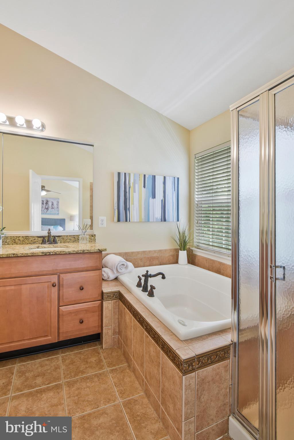 19582 Aspendale Square Ashburn, VA 20147 - Photo 23 of 45 Separate shower