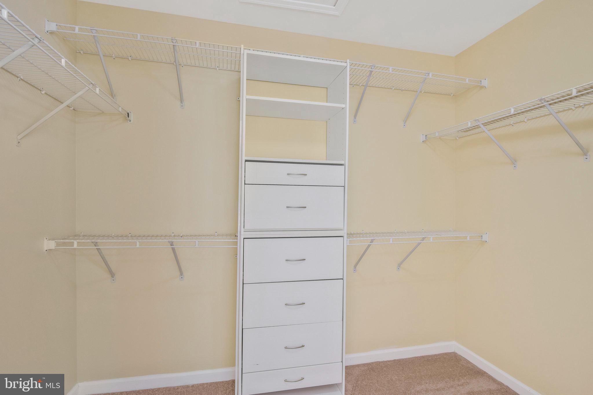 19582 Aspendale Square Ashburn, VA 20147 - Photo 24 of 45 Primary walk-in closet