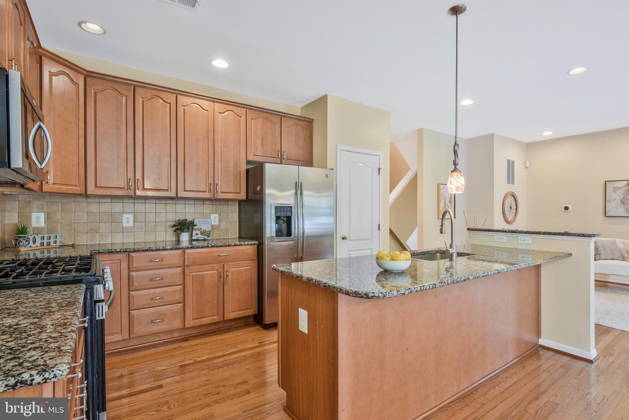 19582 Aspendale Square Ashburn, VA 20147 - Photo 9 of 45 Gourmet kitchen