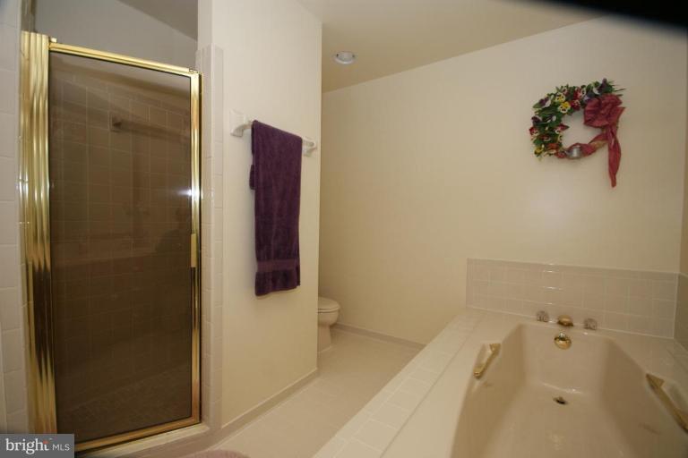 7396 Clifton Road Clifton, VA 20124 - Photo 23 of 30 The shower in teh master bath