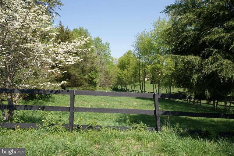 7396 Clifton Road Clifton, VA 20124 - Photo 7 of 30 The pasture acreage and the riding ring are large