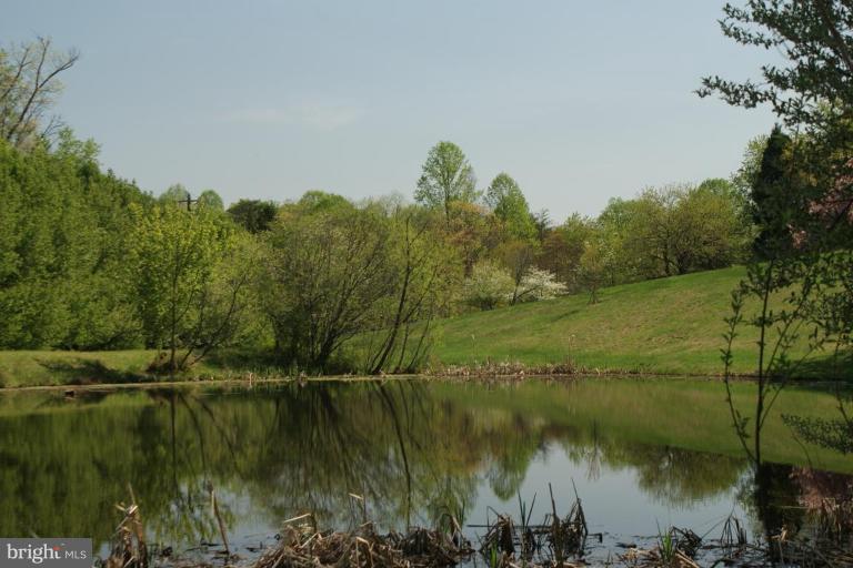 7396 Clifton Road Clifton, VA 20124 - Photo 10 of 30 The pond below the house
