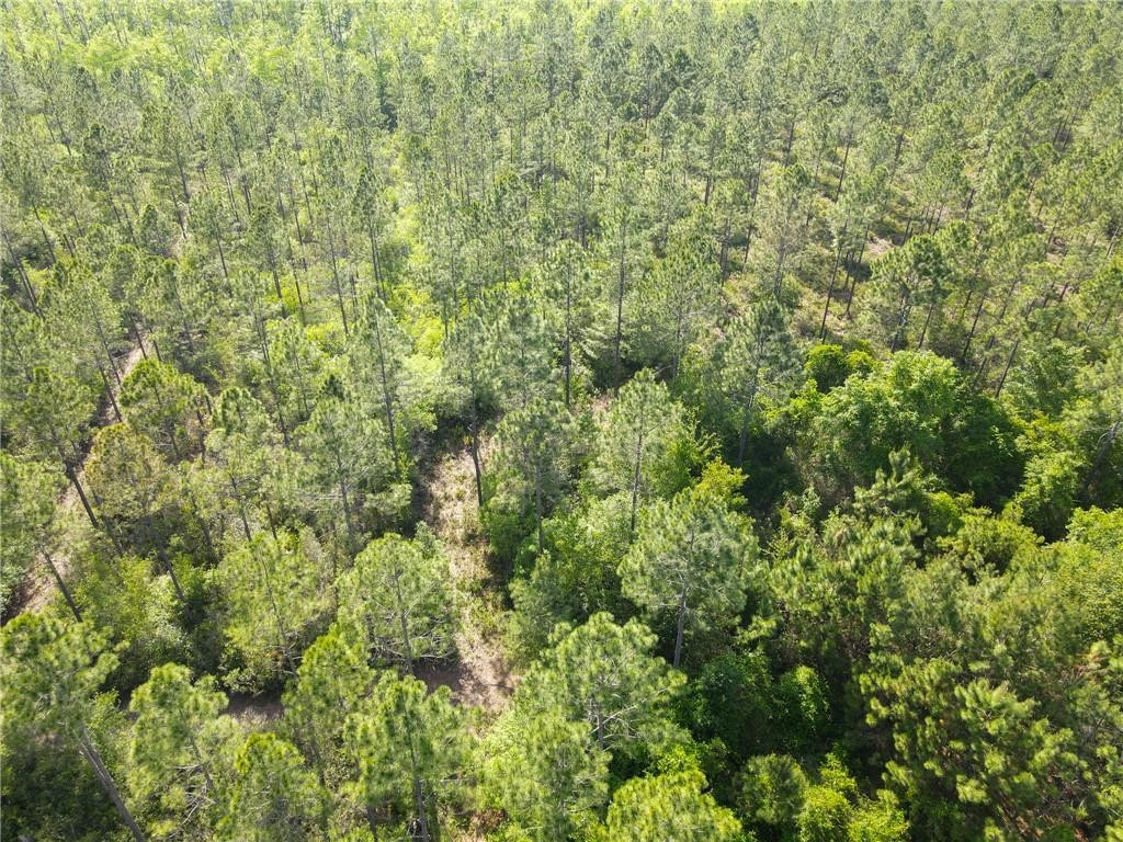 5015 Wood Duck Branch Road Blackshear, GA 31516 - Photo 11 of 12