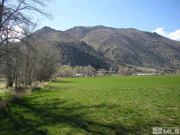 a view of grassy field with mountain in the background