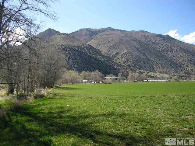 a view of grassy field with mountain in the background