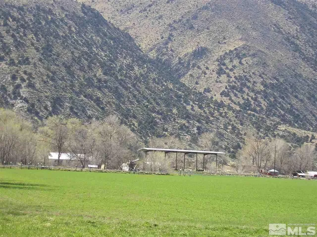 a view of a big yard with an trees