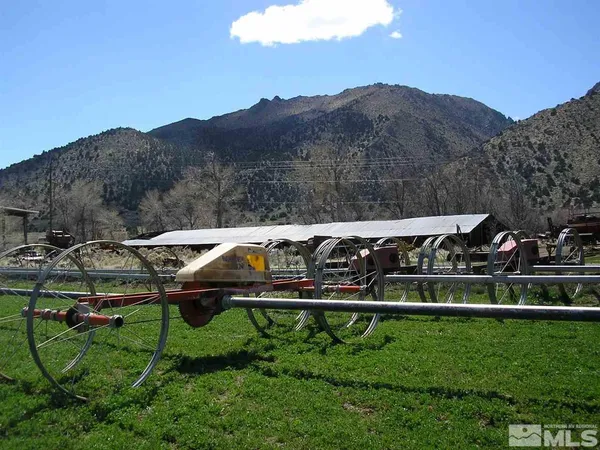 a view of a yard with a table and a chairs