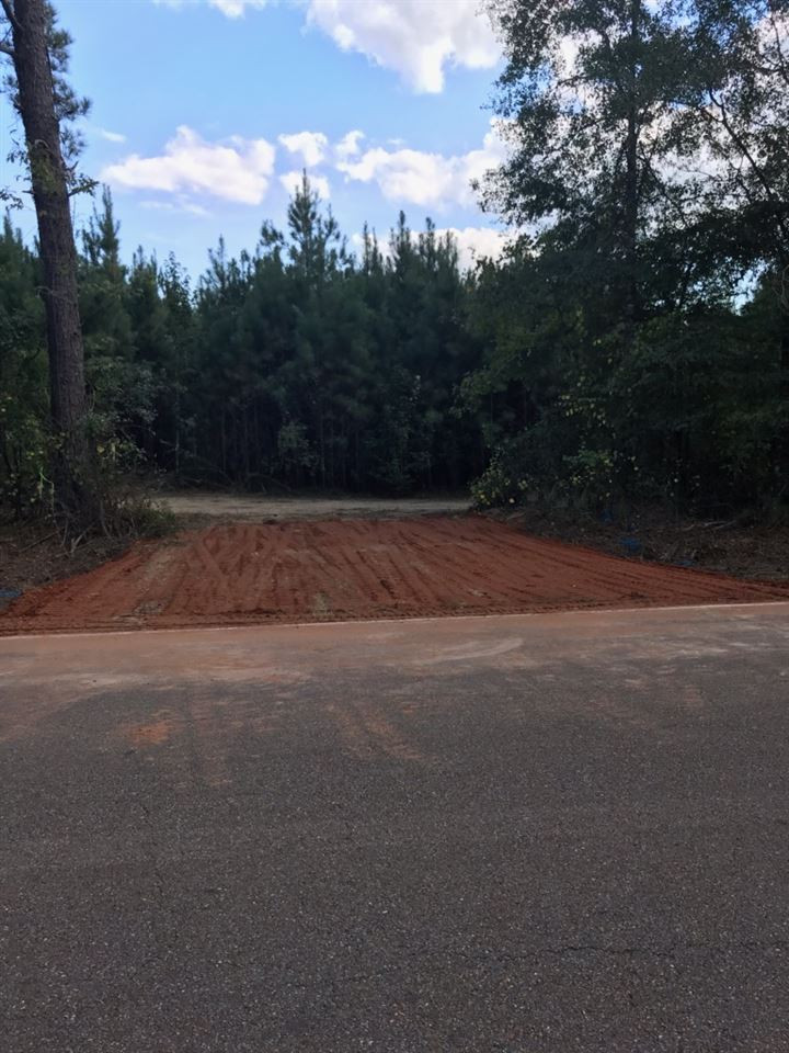 922 Trickham Bridge Road Brandon, MS 39042 - Photo 11 of 12 Photo 15